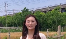 陈萌最新爆料视频大全,揭秘幕后真相，热点事件全解析