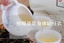喝茶爆料最新视频大全,喝茶爆料最新视频大盘点