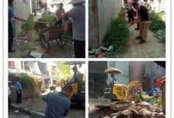 惠来县隆江镇爆料案件最新,案情揭秘，真相渐浮水面