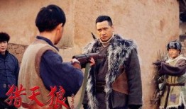 电视剧猎天狼在线观看,揭秘神秘特工的卧底生涯