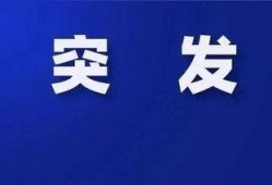 裁员最新爆料新闻报道,最新爆料揭示企业大规模减员真相