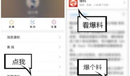 爆料 视频 入口在哪里,爆料视频神秘入口大揭秘！